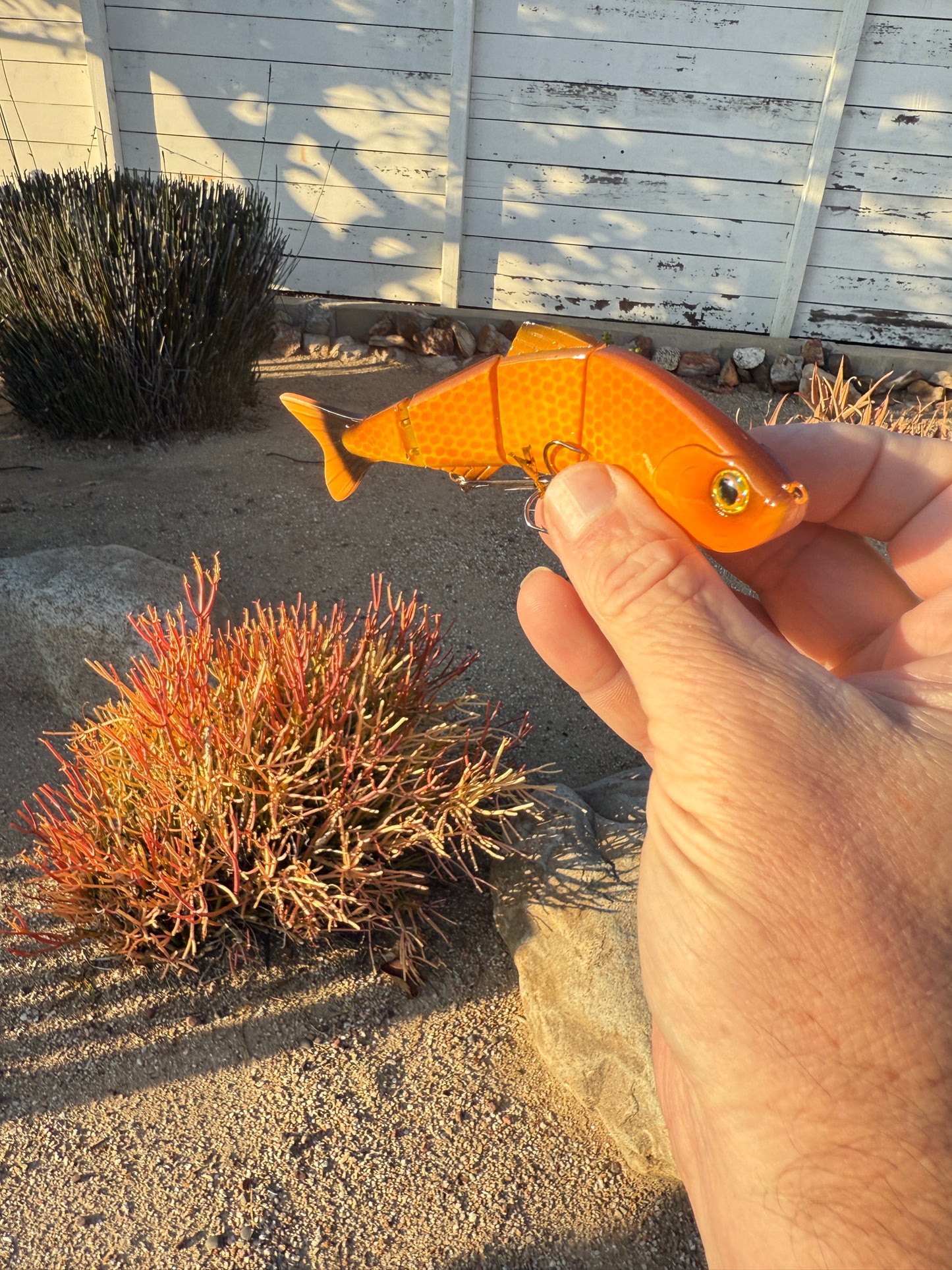 JKB Senorita Swimmer