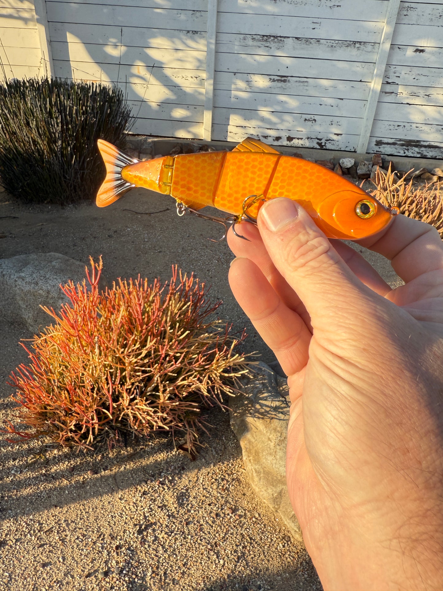 JKB Senorita Swimmer