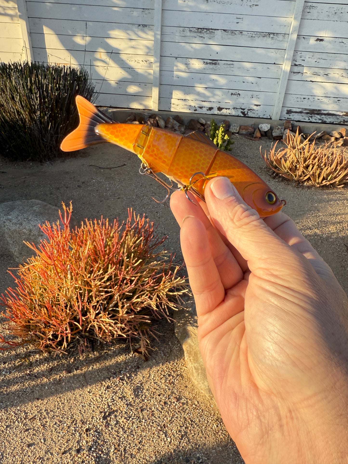 JKB Senorita Swimmer