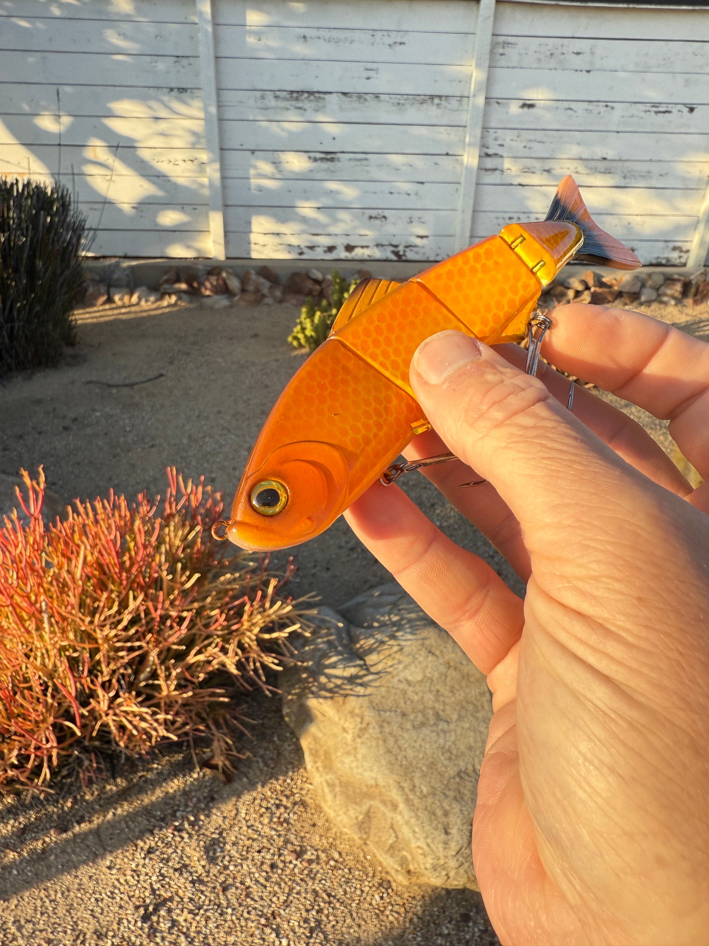 JKB Senorita Swimmer