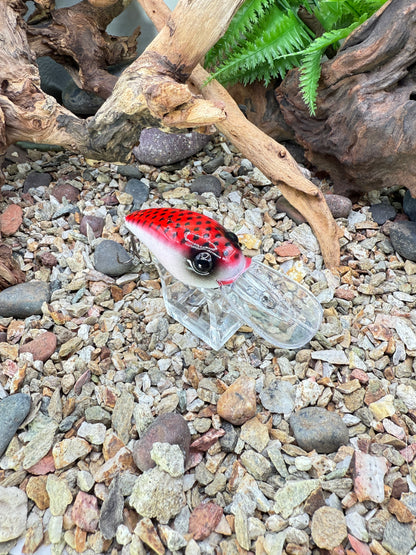 JKB DD Wiggle Wart - S-Dread Red