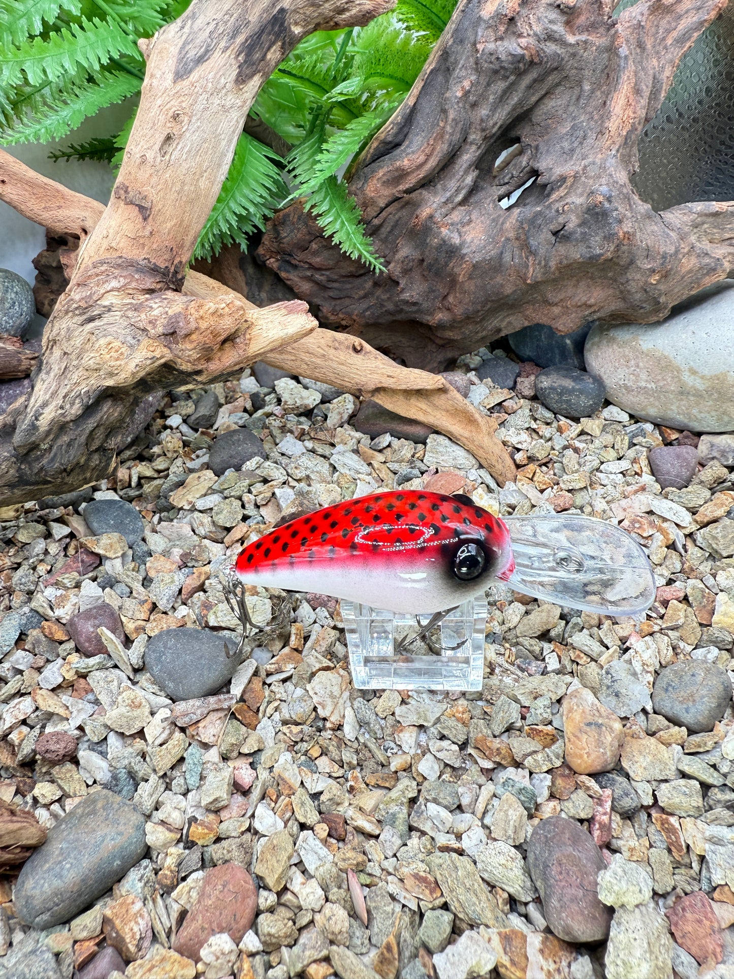 JKB DD Wiggle Wart - S-Dread Red