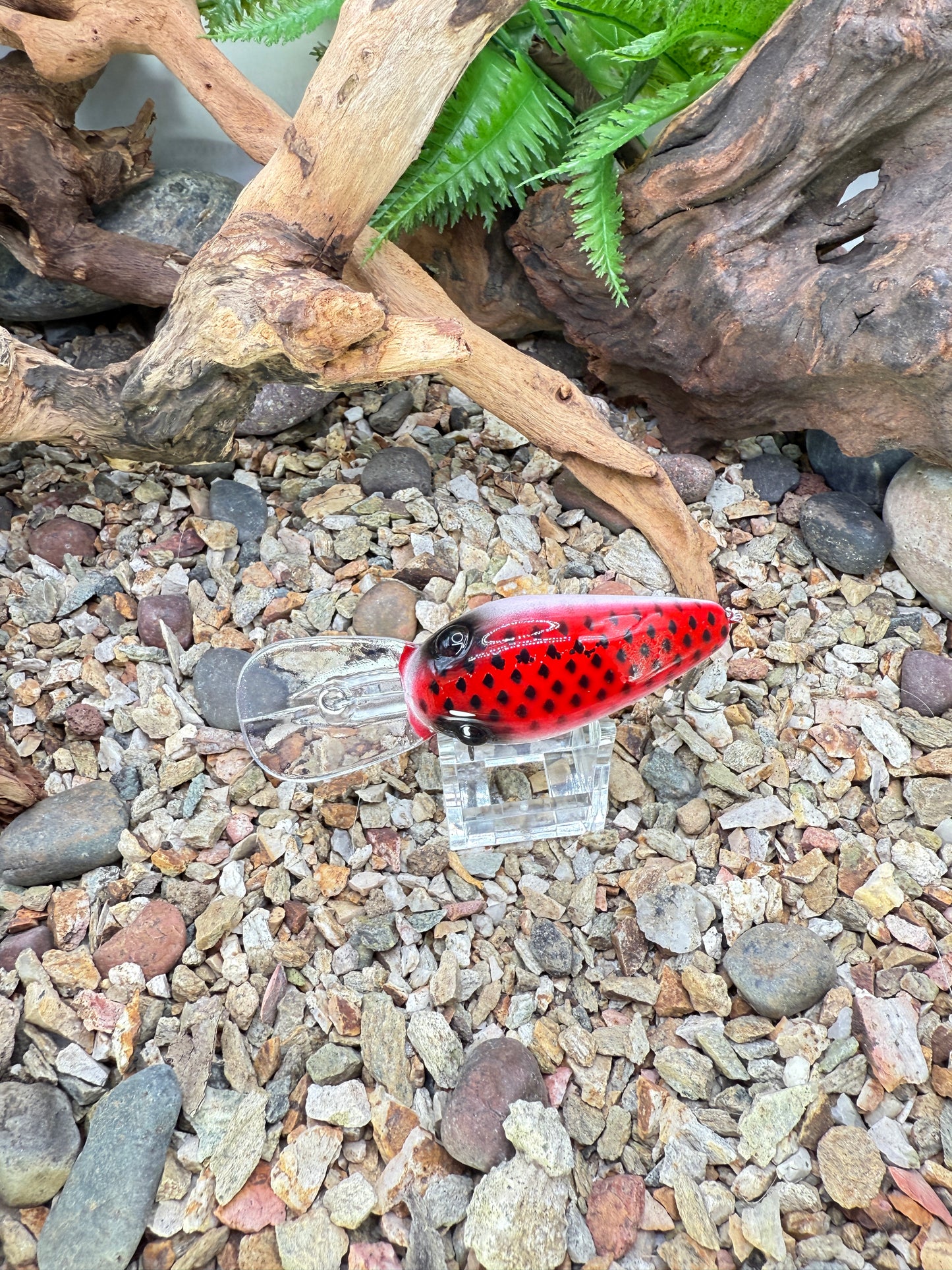 JKB DD Wiggle Wart - S-Dread Red