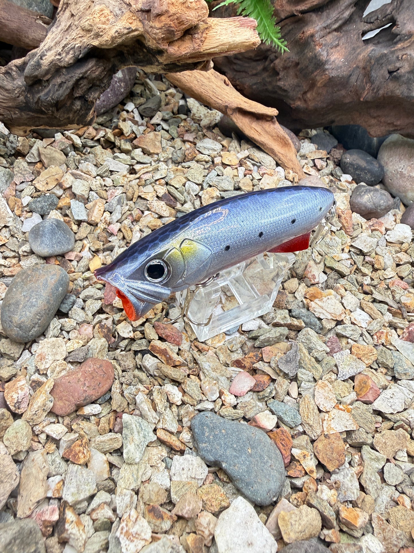 JKB S Popper Baby Dino