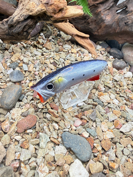 JKB S Popper Baby Dino