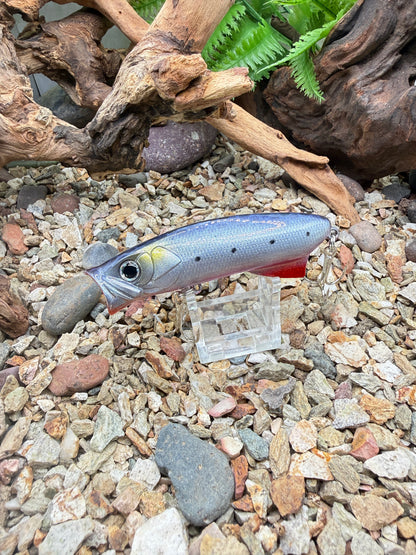 JKB S Popper Baby Dino