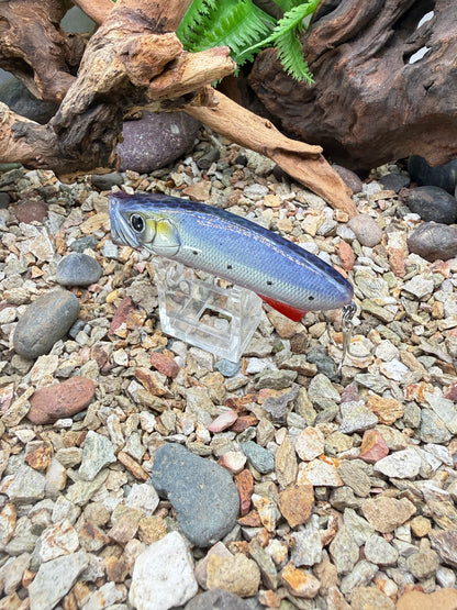 JKB S Popper Baby Dino