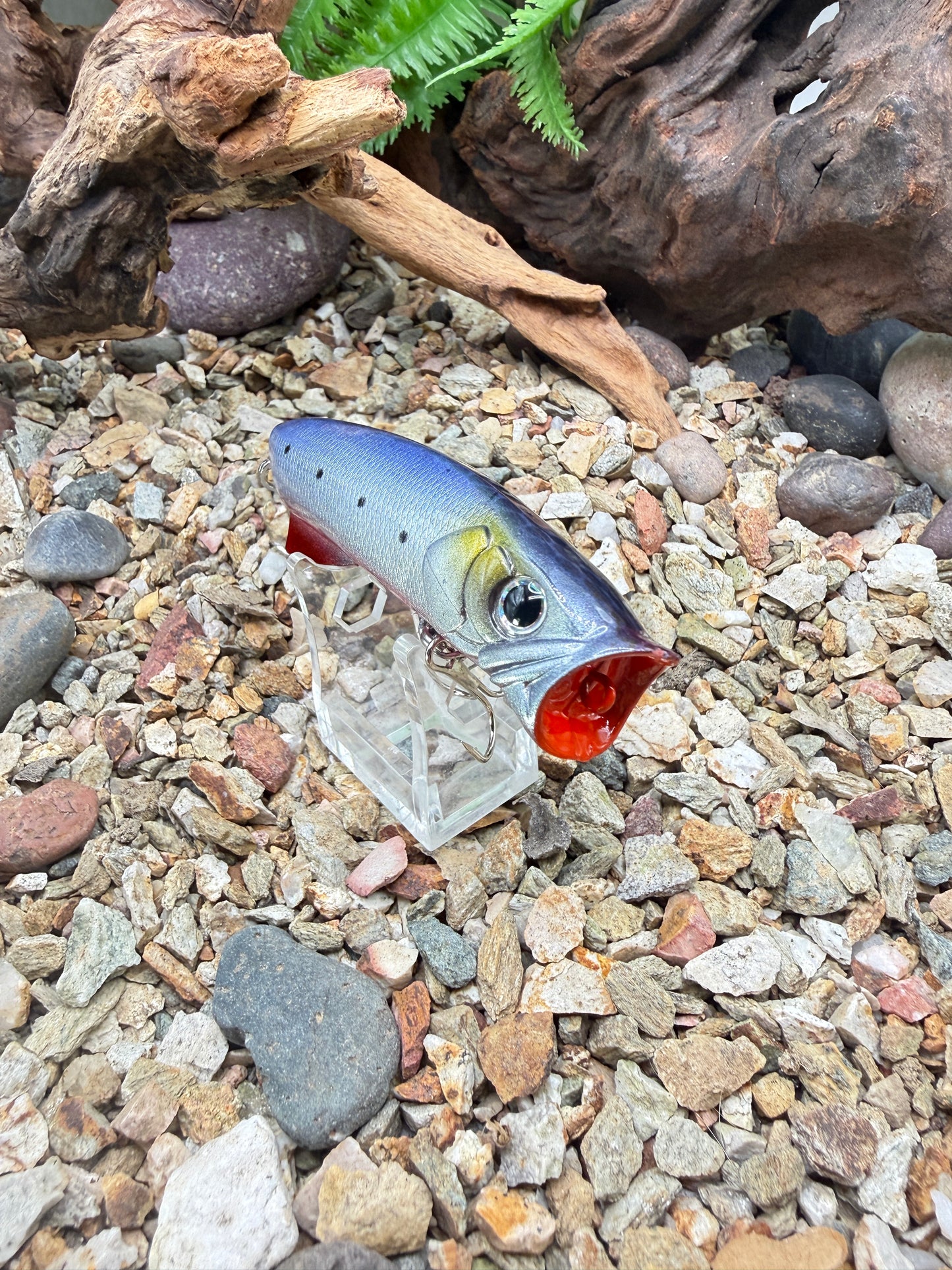 JKB S Popper Baby Dino