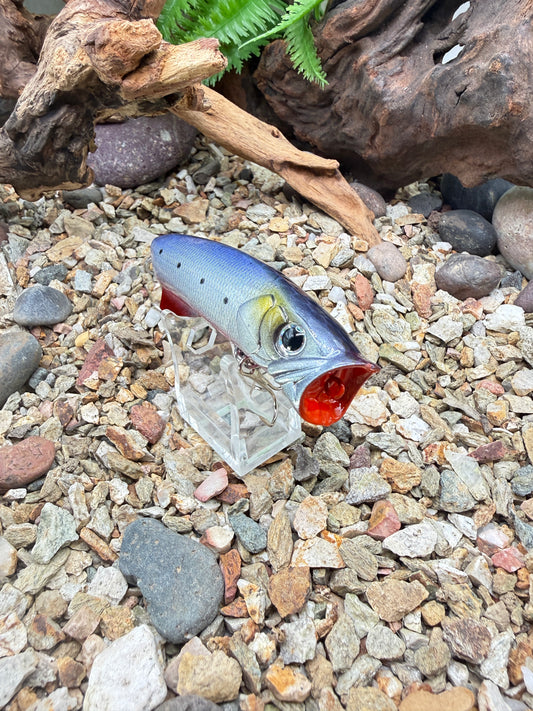 JKB S Popper Baby Dino