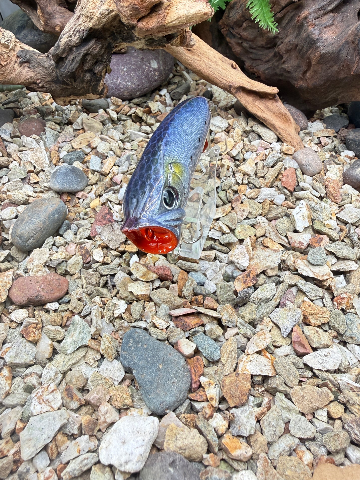 JKB S Popper Baby Dino