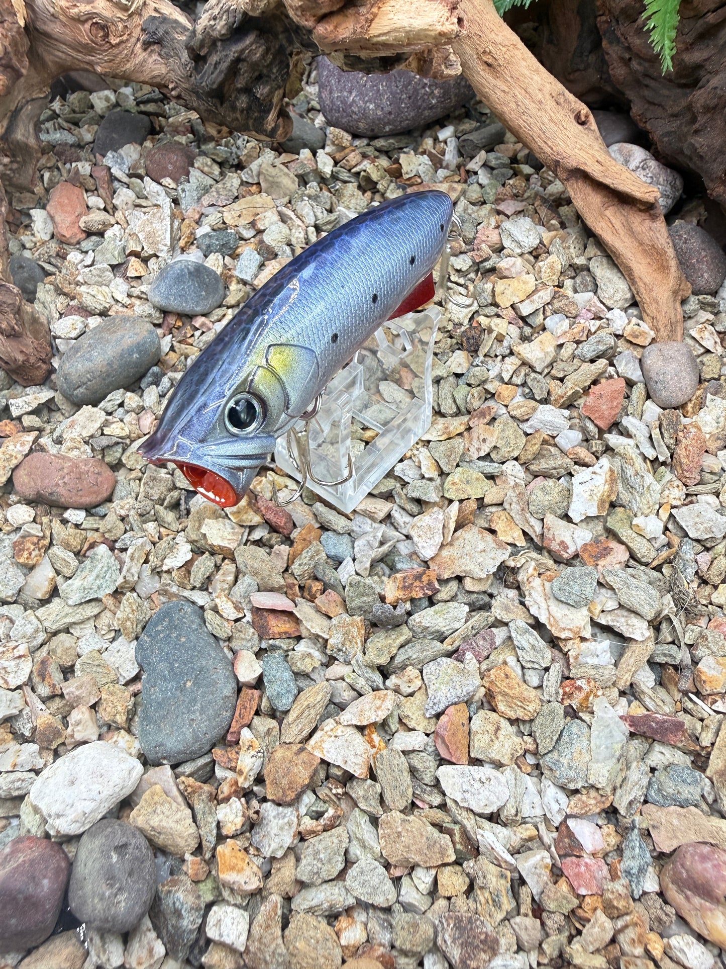 JKB S Popper Baby Dino