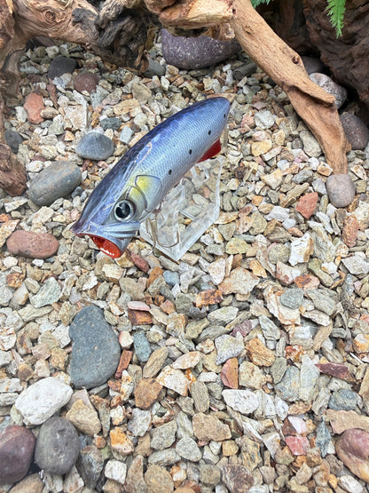 JKB S Popper Baby Dino