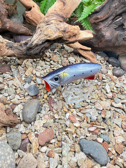 JKB S Popper Baby Dino